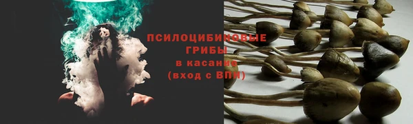 стафф Алексеевка