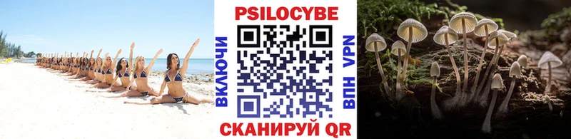 Псилоцибиновые грибы ЛСД Ковылкино